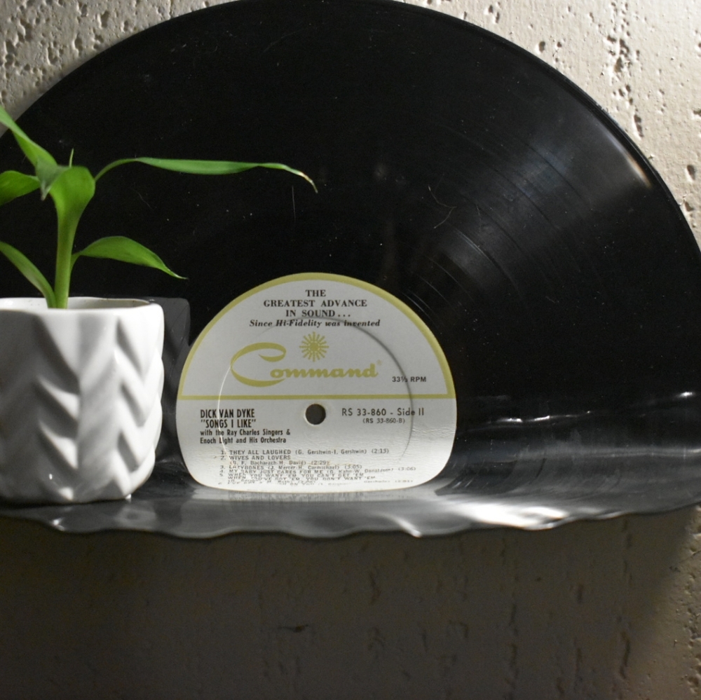 Vinyl Shelves